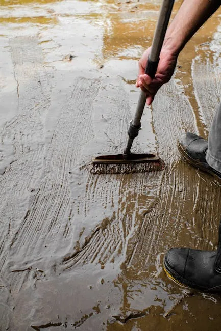 Person Stopping Another From Touching A Mud-stained Rug