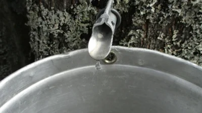 Close-up of tree sap stain removal from a striped outdoor fabric cushion using a cleaning solution.